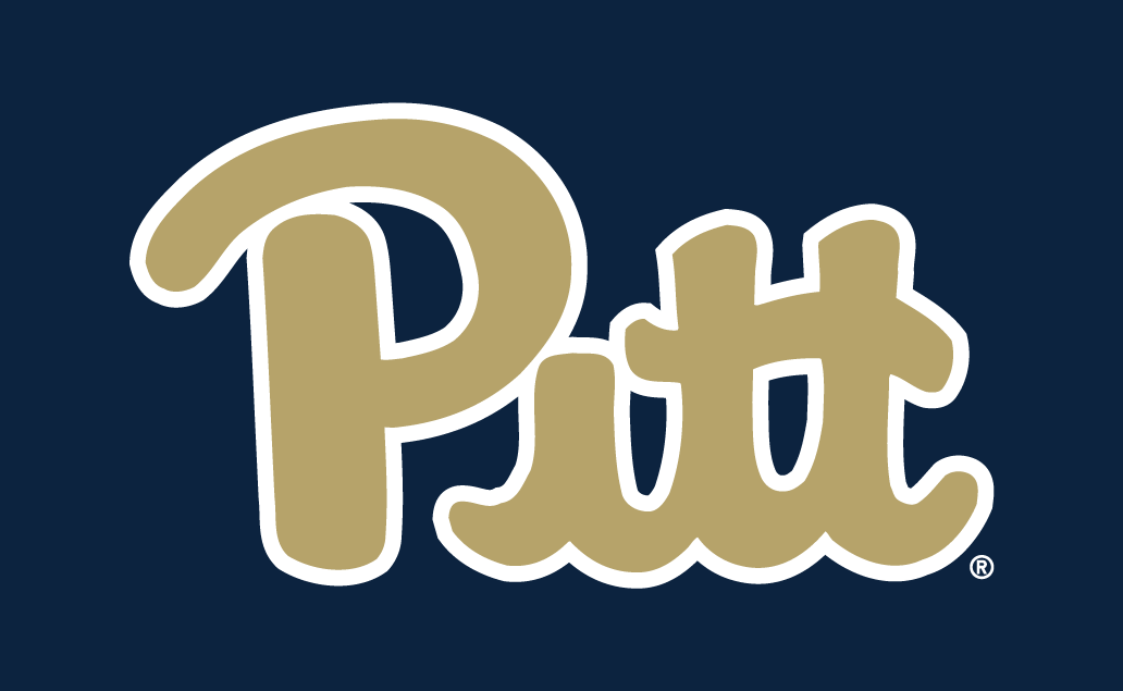 Pittsburgh Panthers 2016-2018 Alternate Logo v2 DIY iron on transfer (heat transfer)